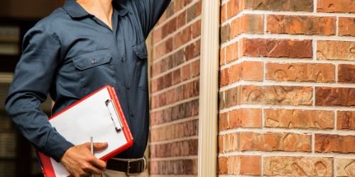 Mold Testing in St. Petersburg