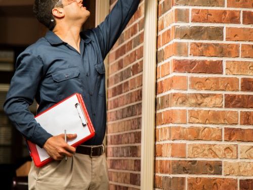 Mold Testing in St. Petersburg