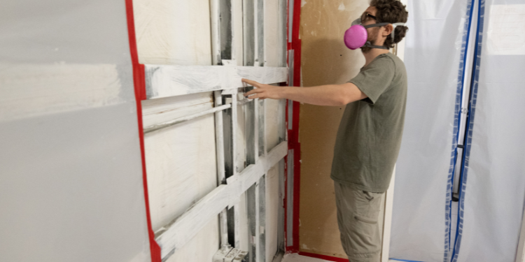 Tampa Bay Mold Testing Tampa Bay Mold Testing