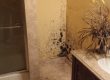Tampa Bay Mold Testing