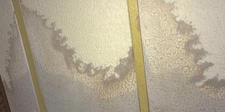 Tampa Bay Mold Testing Tampa Bay Mold Testing