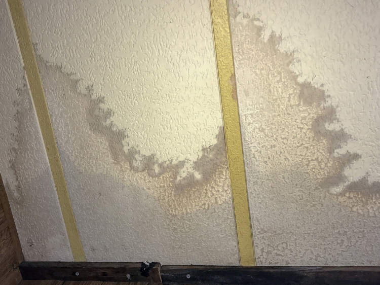 Tampa Bay Mold Testing Tampa Bay Mold Testing