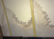 Tampa Bay Mold Testing