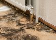 Tampa Bay Mold Testing