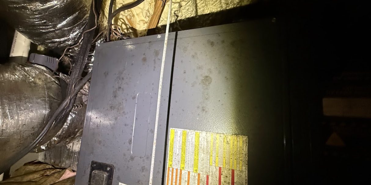 IMG_4861 Health Care Facility Mold