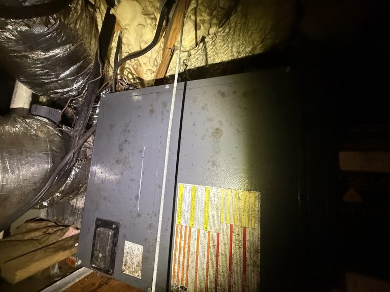 IMG_4861 Health Care Facility Mold