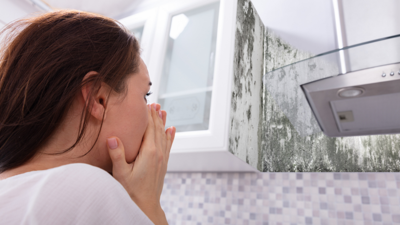 Indoor air quality testing for Tampa Bay homes and businesses
