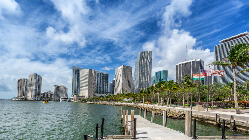 Mold inspection services in Ellenton, Manatee County, FL