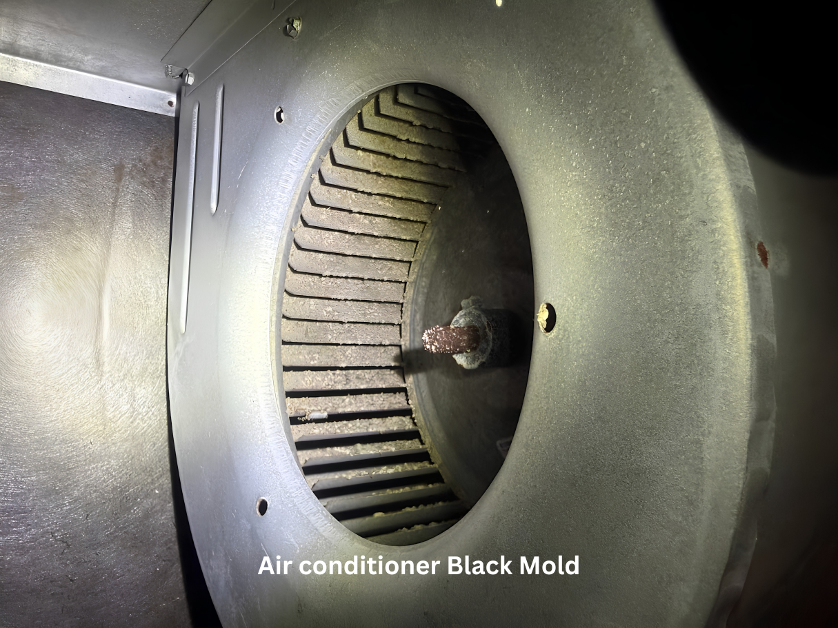 Inspector checking a cooling system component for hidden mold buildup