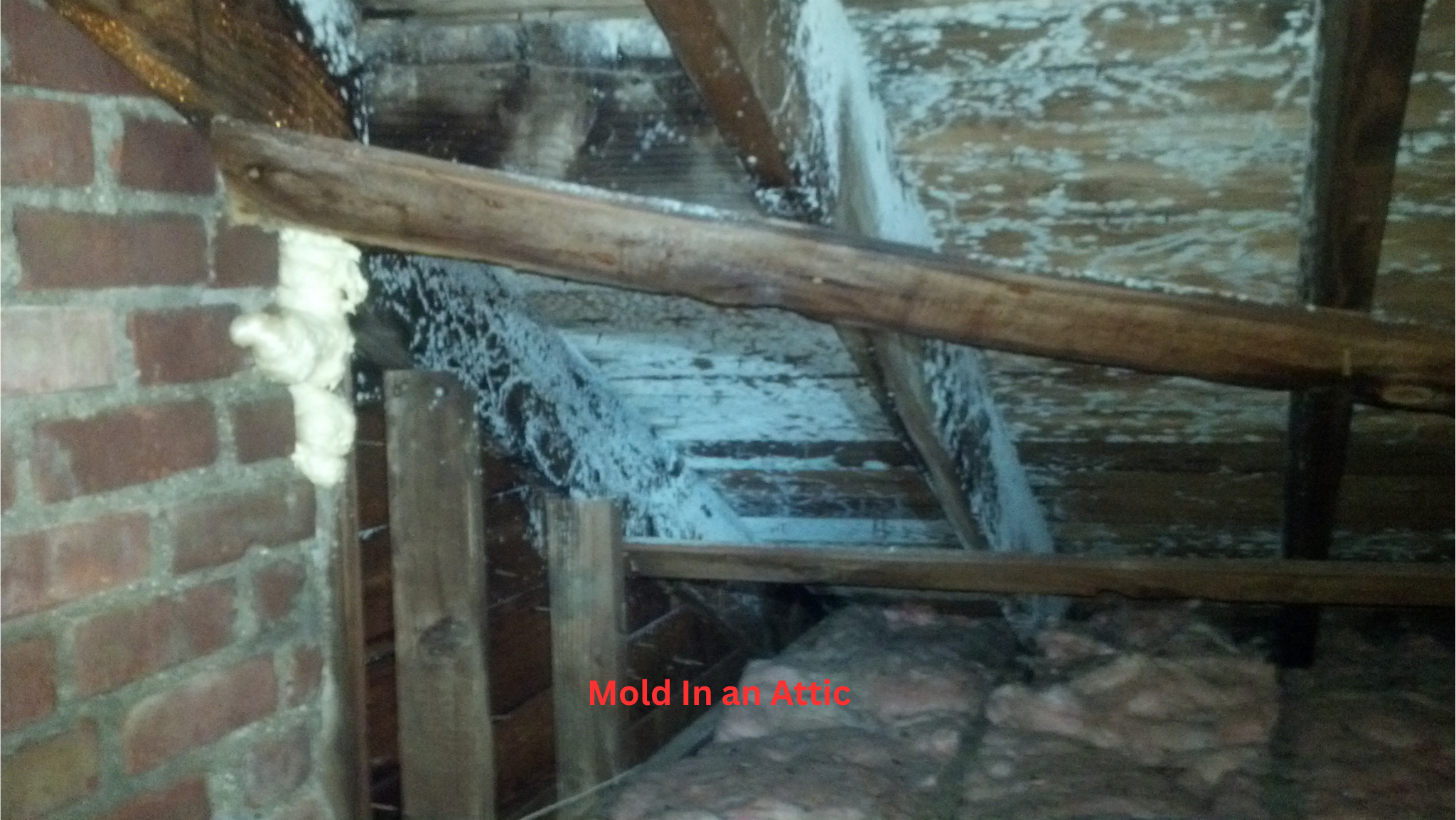 Mold damage discovered on a structural surface while assessing indoor moisture