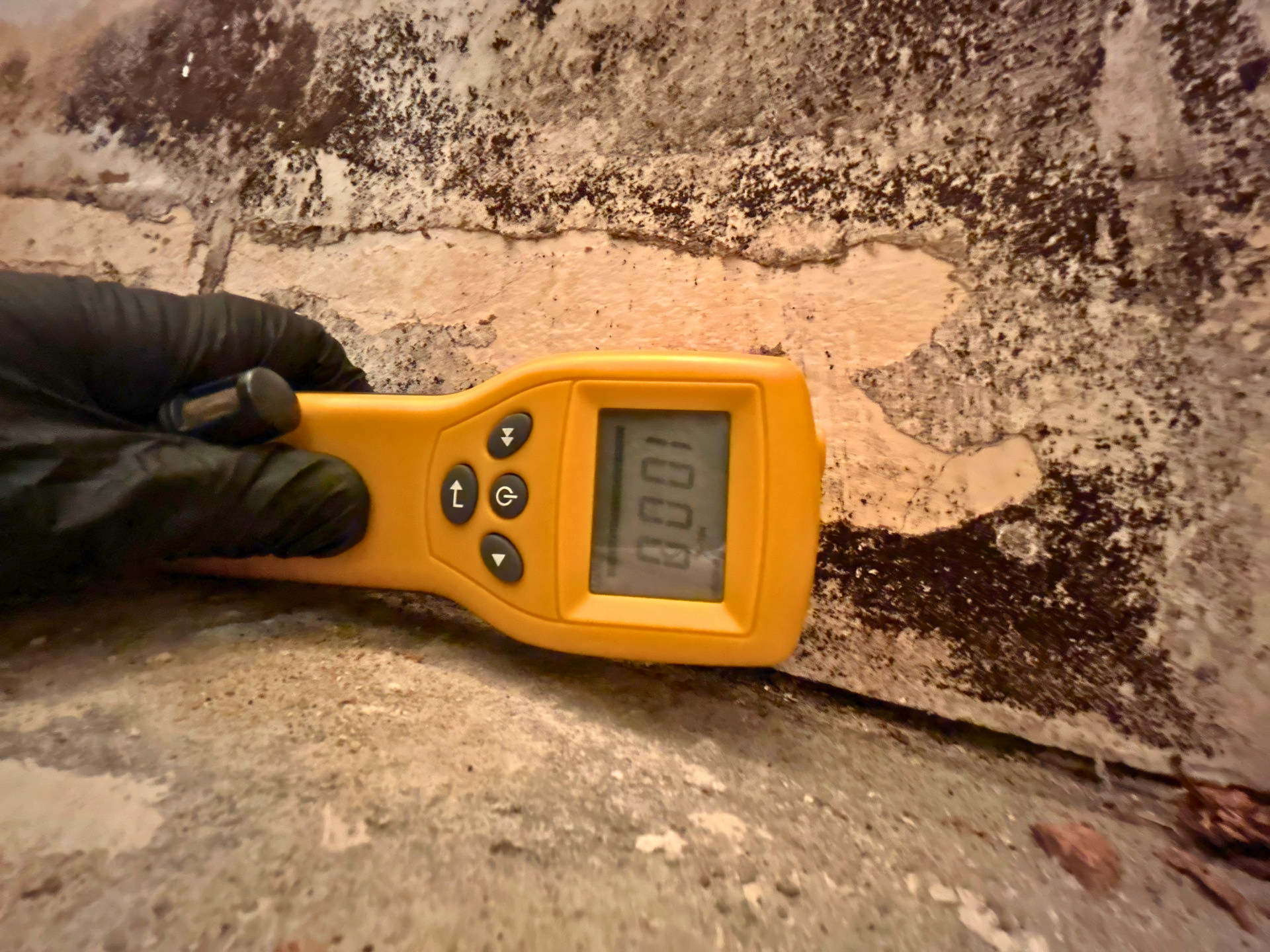 Mold Inspector