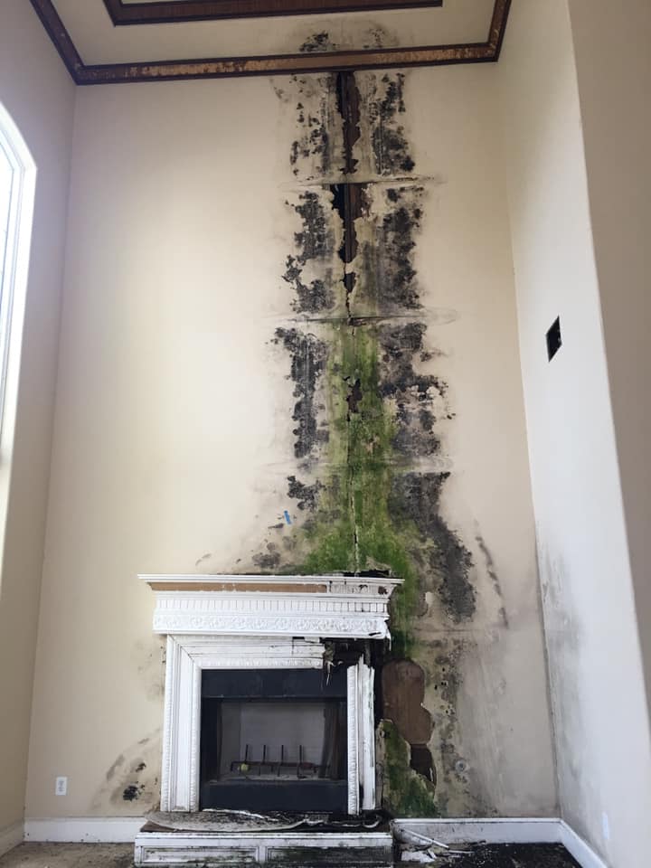 Does Insurance Cover Mold in Florida?