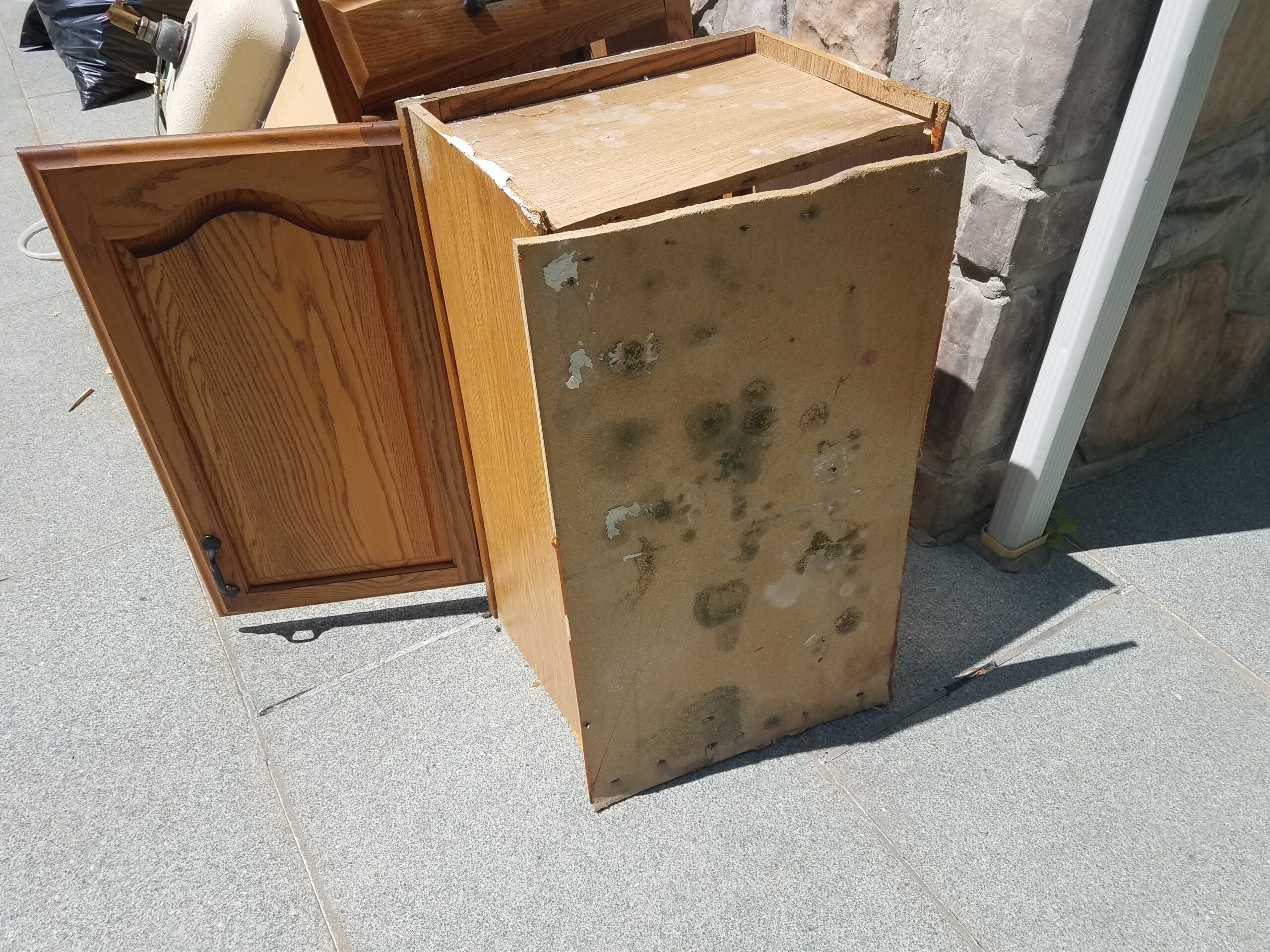 Mold behind Kitchen Cabinets