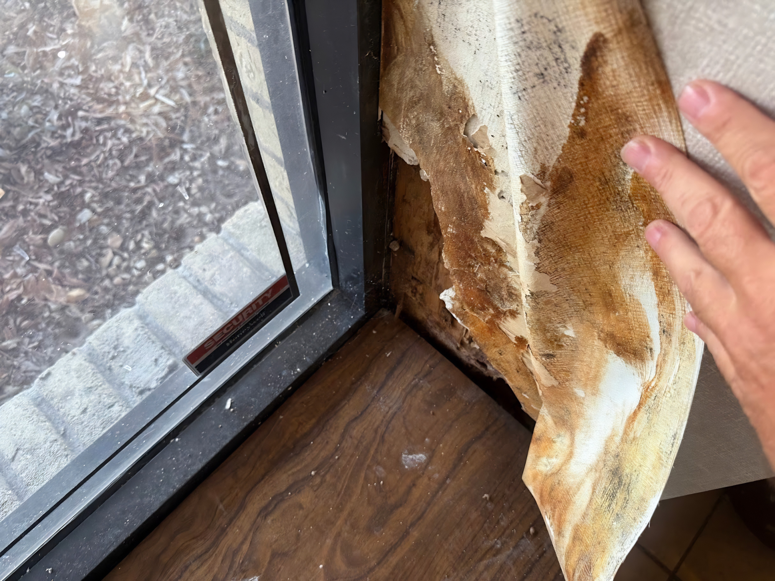 Certified Mold Inspection