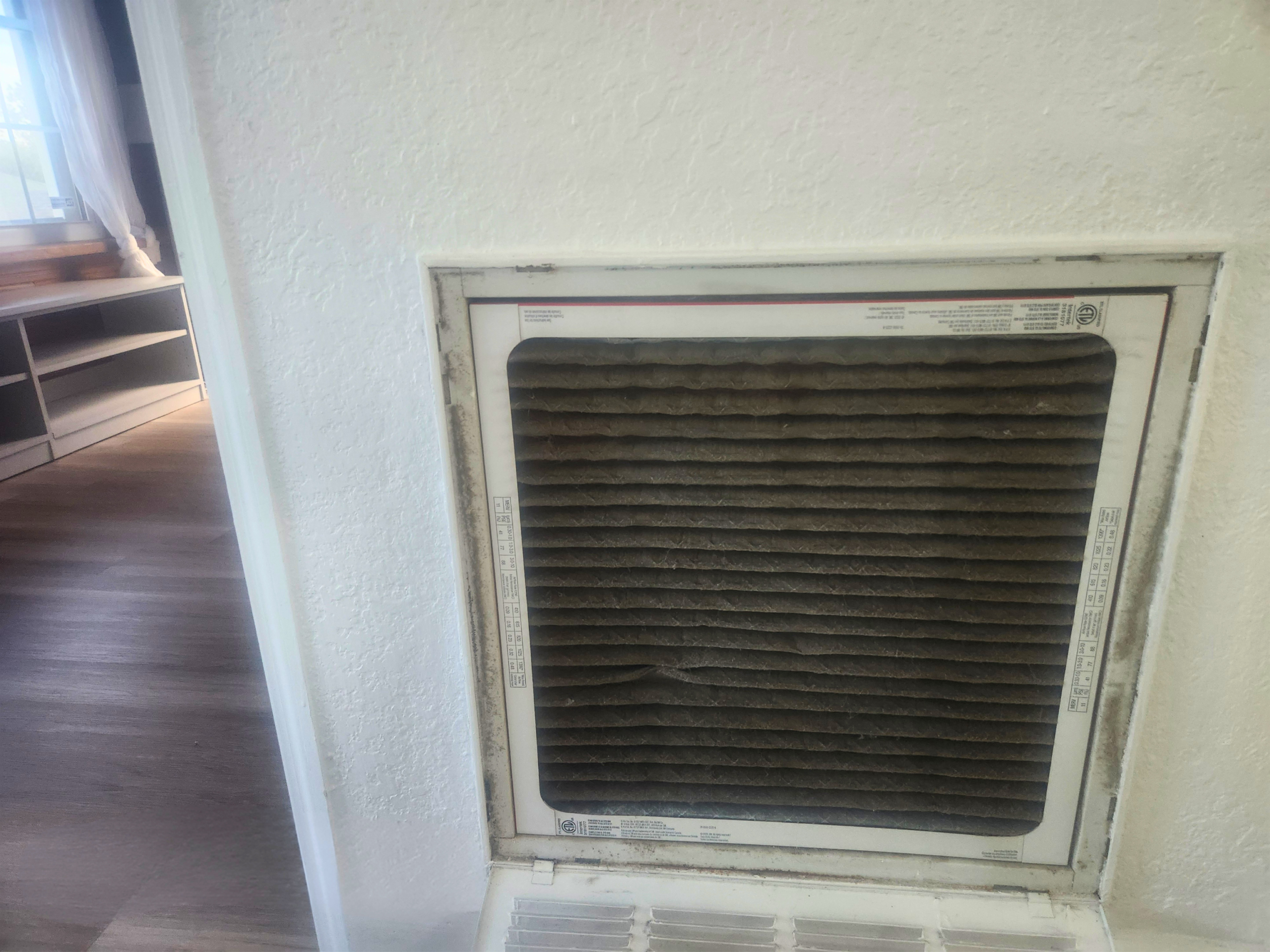 Moldy Air Duct