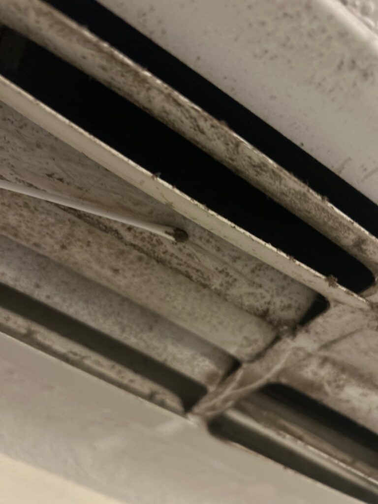 Air Duct Mold Test