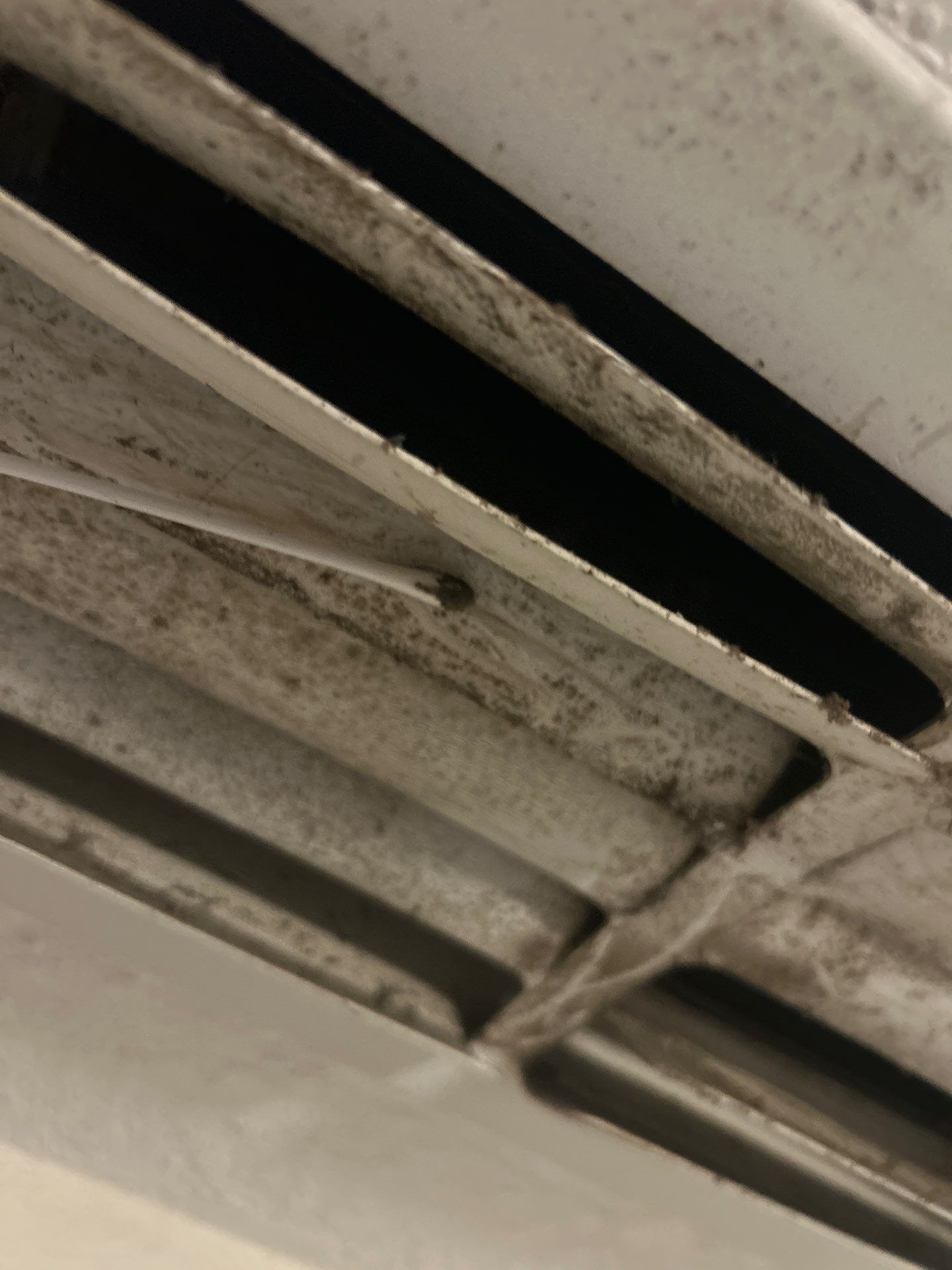 Air Duct Mold Test