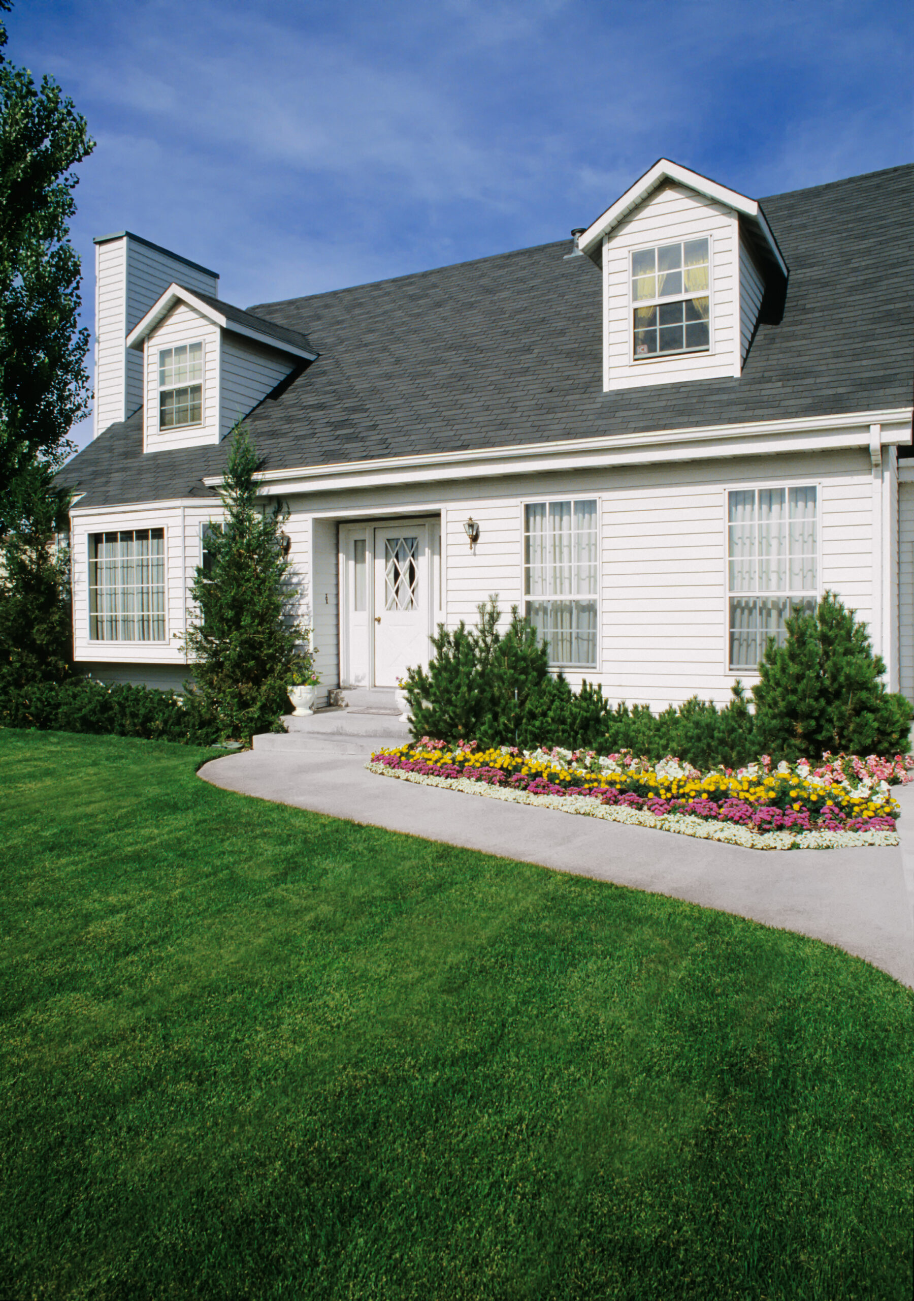Mold Inspection before buying a home