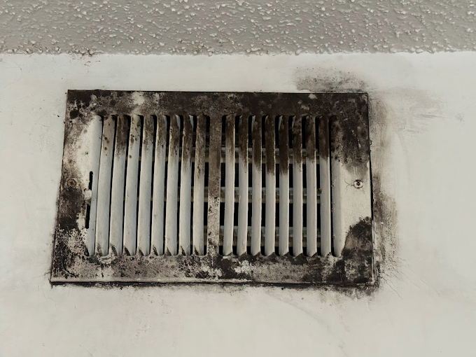 Mold on Air Duct