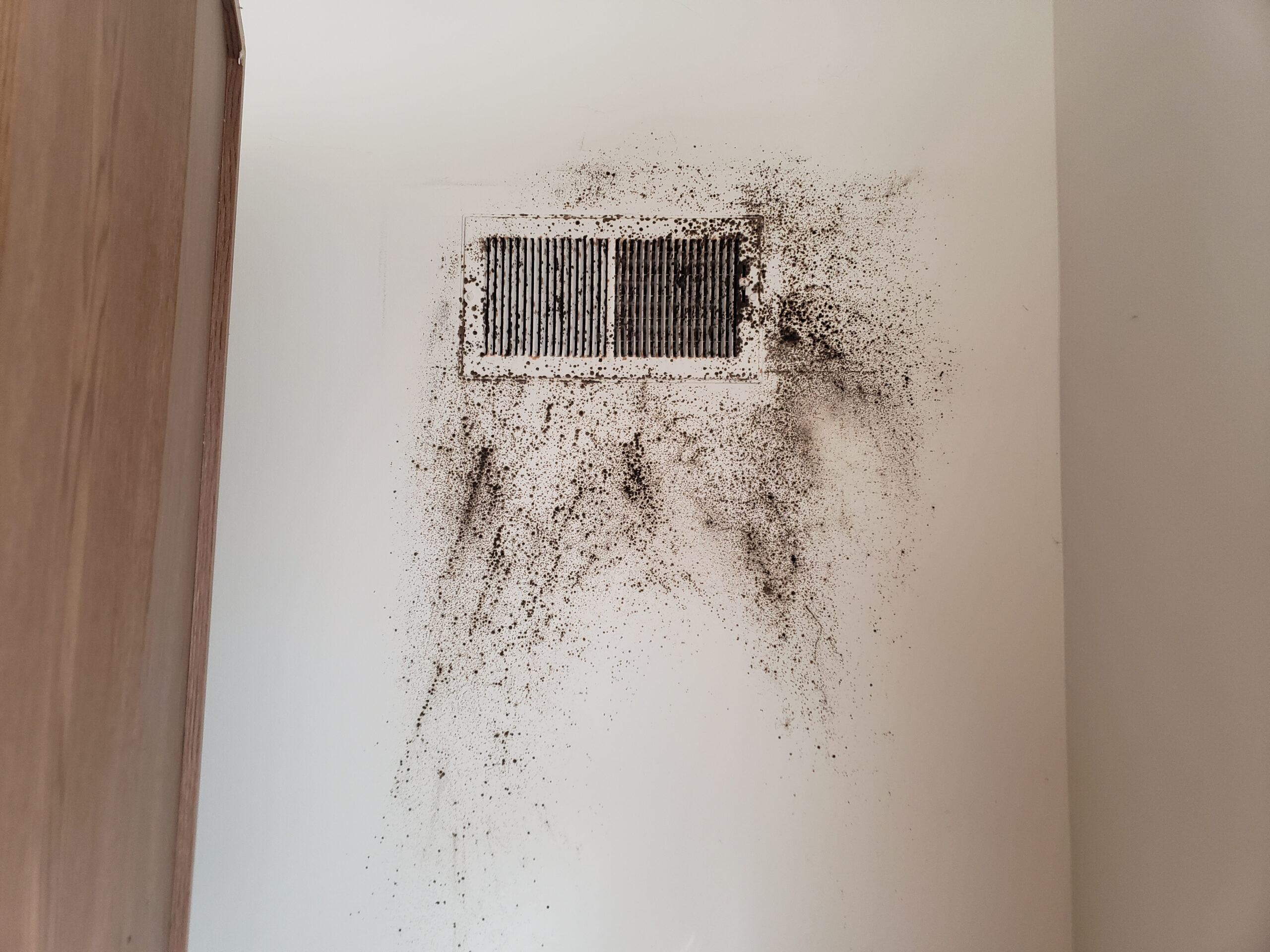 Indoor Air Quality
