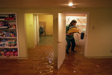 mold after hurricane Tampa
