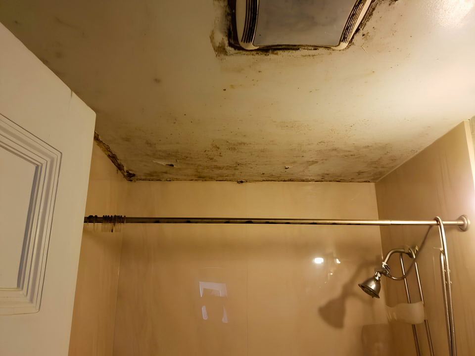 Mold on Bathroom Ceiling Image