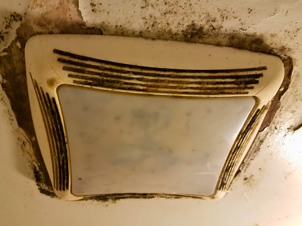 Mold on Bathroom Vent Image