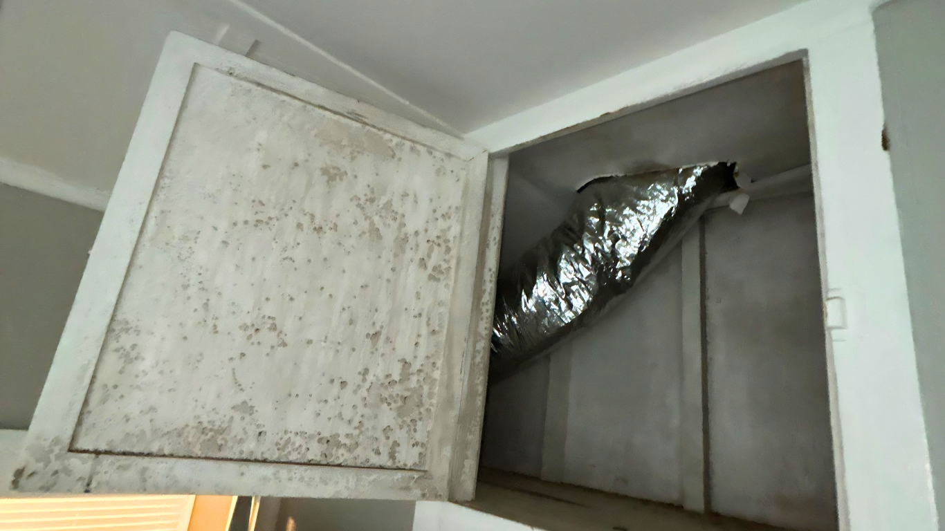 mold in a Florida rental