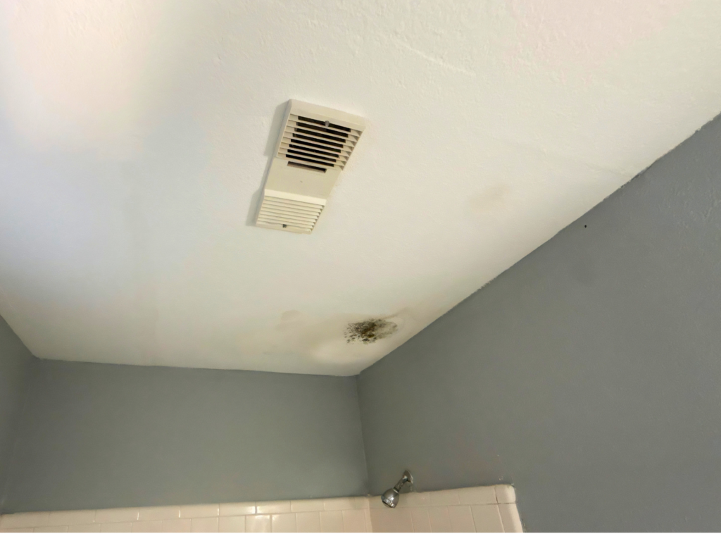 ceiling mold in a Florida rental apartment